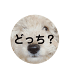mysweetmutsu（個別スタンプ：6）