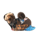 ジェイくんとルーくん❤︎（個別スタンプ：1）