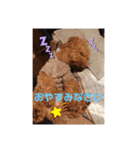ジェイくんとルーくん❤︎（個別スタンプ：5）