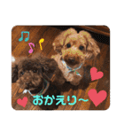 ジェイくんとルーくん❤︎（個別スタンプ：8）