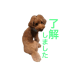 ジェイくんとルーくん❤︎（個別スタンプ：12）