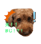 ジェイくんとルーくん❤︎（個別スタンプ：16）