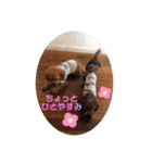 ジェイくんとルーくん❤︎（個別スタンプ：17）
