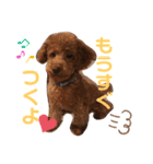 ジェイくんとルーくん❤︎（個別スタンプ：24）