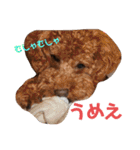 ジェイくんとルーくん❤︎（個別スタンプ：26）
