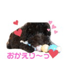 ジェイくんとルーくん❤︎（個別スタンプ：29）