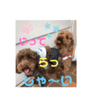 ジェイくんとルーくん❤︎（個別スタンプ：30）