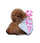 くれもんのスタンプ 第二弾（個別スタンプ：1）