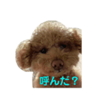くれもんのスタンプ 第二弾（個別スタンプ：8）