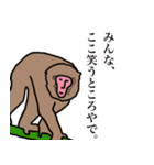 親しい関西弁アニマル（個別スタンプ：11）