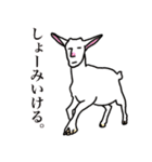 親しい関西弁アニマル（個別スタンプ：18）