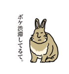 親しい関西弁アニマル（個別スタンプ：19）