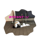 すわでユク（個別スタンプ：2）