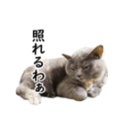るん嬢の日常（個別スタンプ：3）