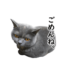 るん嬢の日常（個別スタンプ：4）