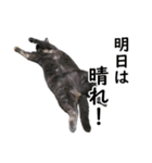 るん嬢の日常（個別スタンプ：5）