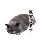 るん嬢の日常（個別スタンプ：7）