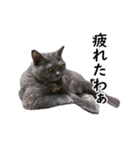 るん嬢の日常（個別スタンプ：8）