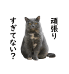 るん嬢の日常（個別スタンプ：9）