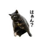 るん嬢の日常（個別スタンプ：10）
