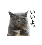 るん嬢の日常（個別スタンプ：11）