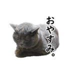 るん嬢の日常（個別スタンプ：12）