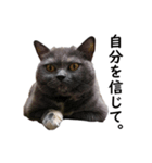 るん嬢の日常（個別スタンプ：13）