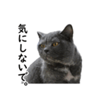 るん嬢の日常（個別スタンプ：14）