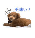 アロンとサナの生活 ver.2（個別スタンプ：1）