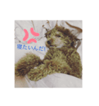 アロンとサナの生活 ver.2（個別スタンプ：2）