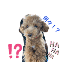 アロンとサナの生活 ver.2（個別スタンプ：3）