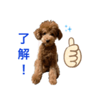 アロンとサナの生活 ver.2（個別スタンプ：4）
