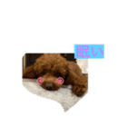 アロンとサナの生活 ver.2（個別スタンプ：6）