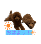 アロンとサナの生活 ver.2（個別スタンプ：8）