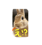 みそPスタンプ（個別スタンプ：2）