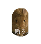 みそPスタンプ（個別スタンプ：5）