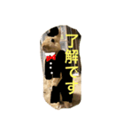 みそPスタンプ（個別スタンプ：6）