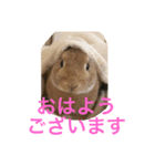 みそPスタンプ（個別スタンプ：7）