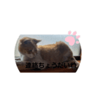 ごくう3（個別スタンプ：7）