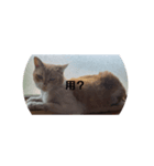 ごくう3（個別スタンプ：8）