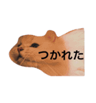 みんなあつまれわきじるだよ（個別スタンプ：25）