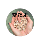 みんなあつまれわきじるだよ（個別スタンプ：32）