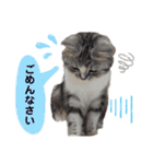 noeltomiky（個別スタンプ：4）