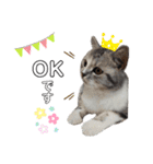 noeltomiky（個別スタンプ：5）