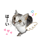 noeltomiky（個別スタンプ：6）