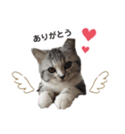 noeltomiky（個別スタンプ：8）