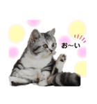 noeltomiky（個別スタンプ：9）