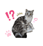 noeltomiky（個別スタンプ：12）