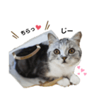 noeltomiky（個別スタンプ：13）