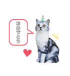 noeltomiky（個別スタンプ：15）